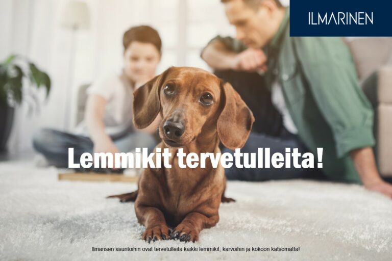 Oulunkylä, Helsinki